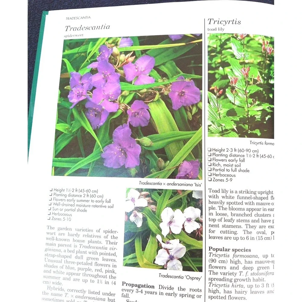 A–Z of Perennials – Reader's Digest Successful Gardening Series 1990, Hardcover‎
